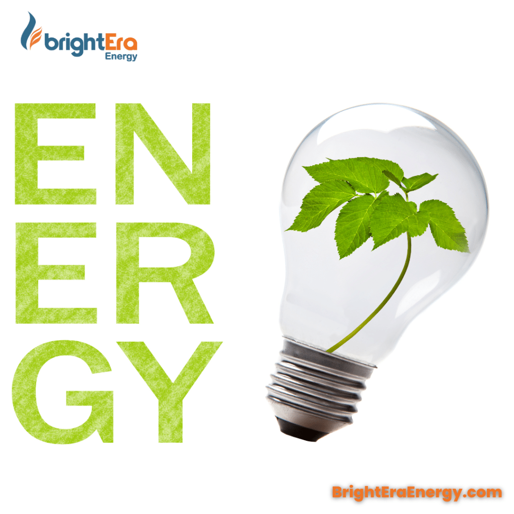 How BrightEra Energy Smart Solar Can Protect Your Wallet and the Environment in Florida